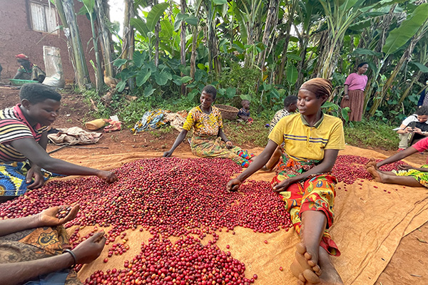 Strategia_600x400_2 Sud Globale - Chiesi Foundation