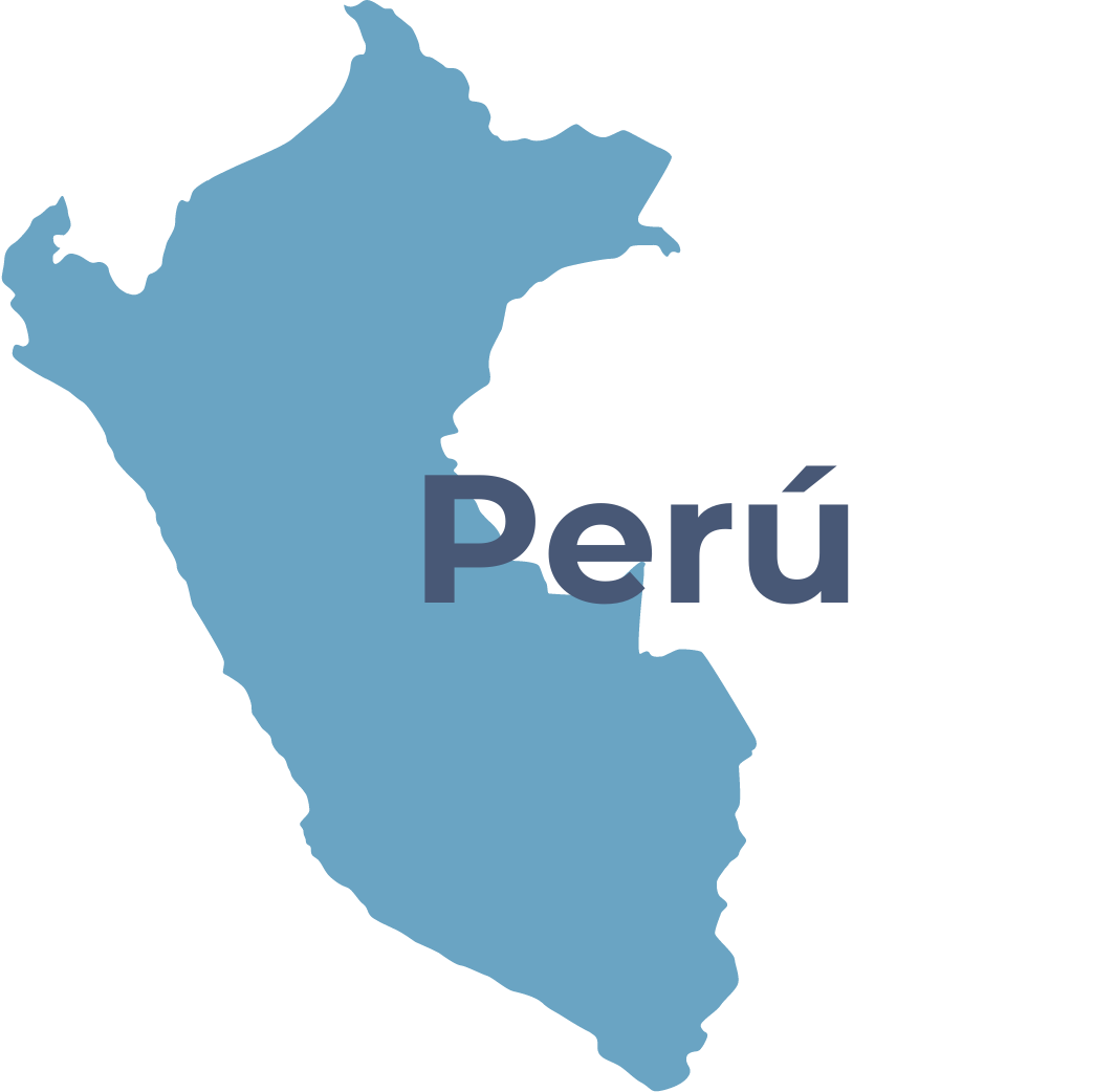 Chiesi Foundation - Perù