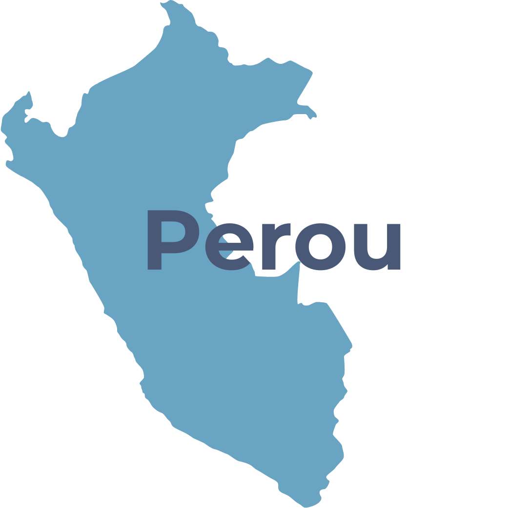 Chiesi Foundation - Perou