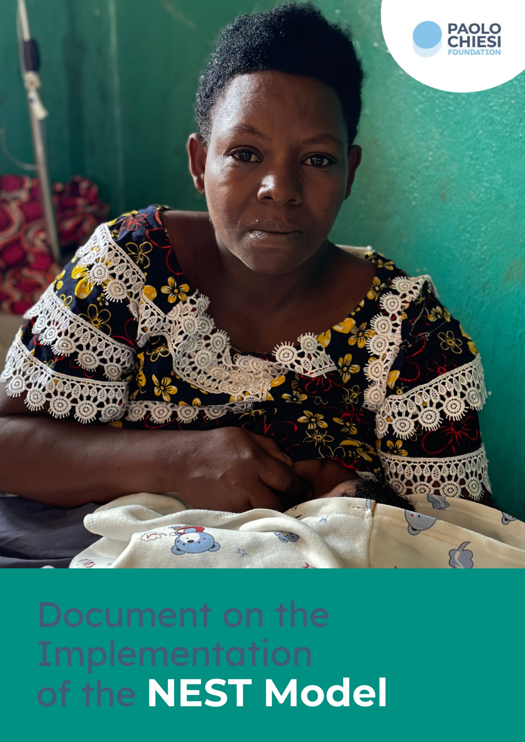 Documento sull'implementazione del modello NEST