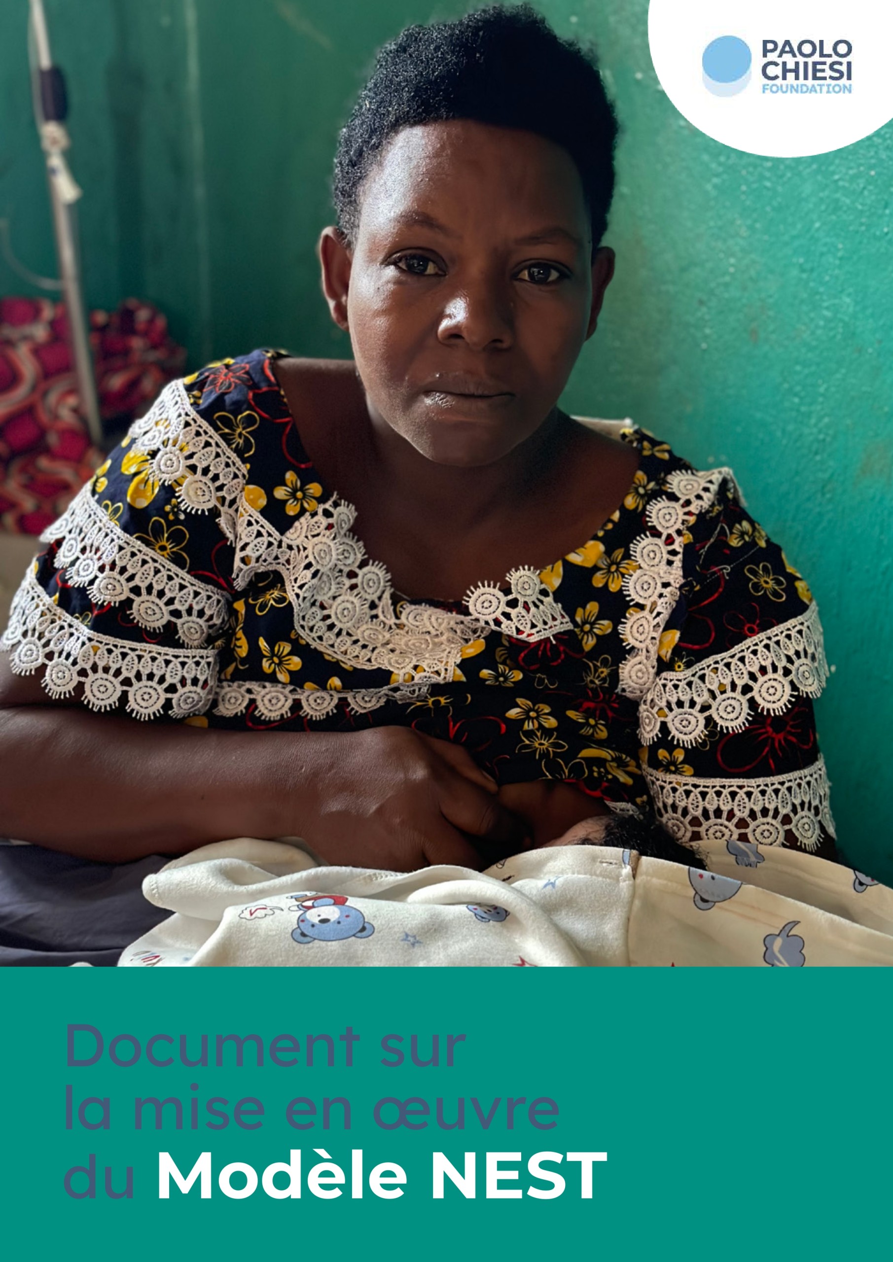 Document sur la mise en oeuvre du Modèle NEST